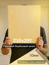 Купить Фанера 210x297x10 мм, береза, упаковка 1 шт.
