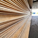 Фанера ламинированная TeaM GRID 2440х1220х21мм, береза, сорт 1/1 фото 24