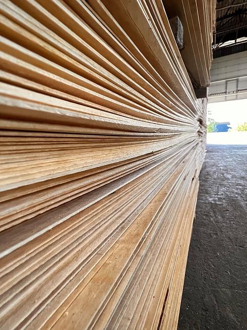 Фанера ламинированная TeaM GRID 2440х1220х21мм, береза, сорт 1/1 фото 24