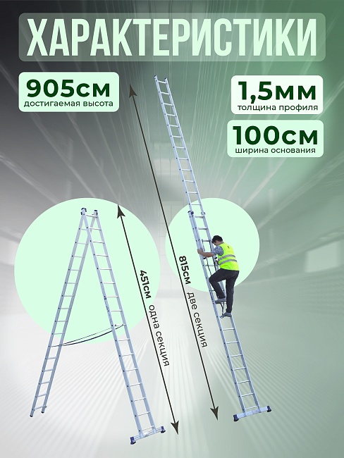 Лестница двухсекционная Alumet Ал 6216 фото 2