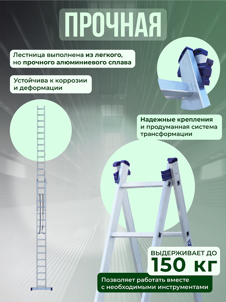 Лестница двухсекционная Alumet Ал 6216 фото 3