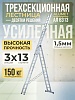 Лестница трехсекционная Ал 6313