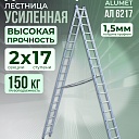 Лестница двухсекционная Alumet Ал 6217 фото 1