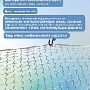 Защитно-улавливающая сетка (ЗУС) Промышленник защитно-улавливающая сетка 3,5х6 м фото 3