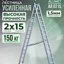 Лестница двухсекционная Alumet Ал 6215 фото 1