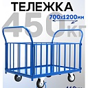 Платформенная тележка Промышленник 1200х700 ПБ-7.12 160 мм с трубчатыми бортами фото 1
