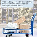 Платформенная тележка Промышленник 1200х600 ПБМ-6.12 160 мм с бортиком фото 6