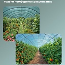 Сетка затеняющая Промышленник зеленая 50% 4х10 м фото 3