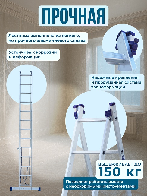 Лестница двухсекционная Alumet Ал 5213 фото 3